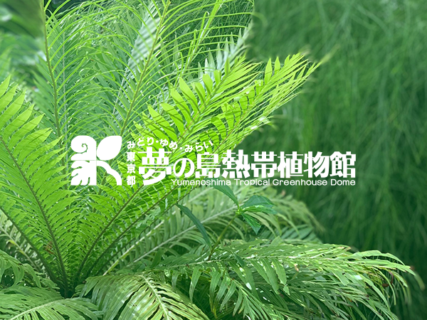 写真がありません